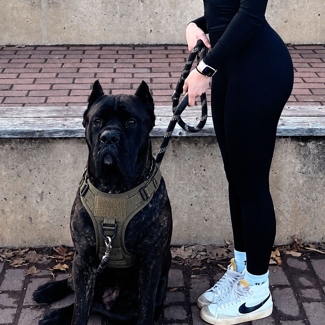 Forge™ Tactical Harness