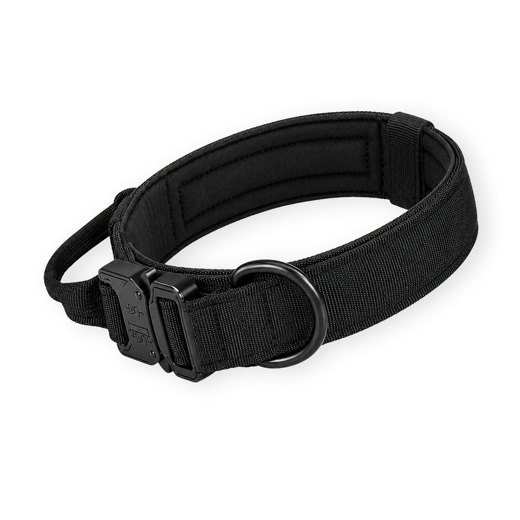 LockPoint™ Collar