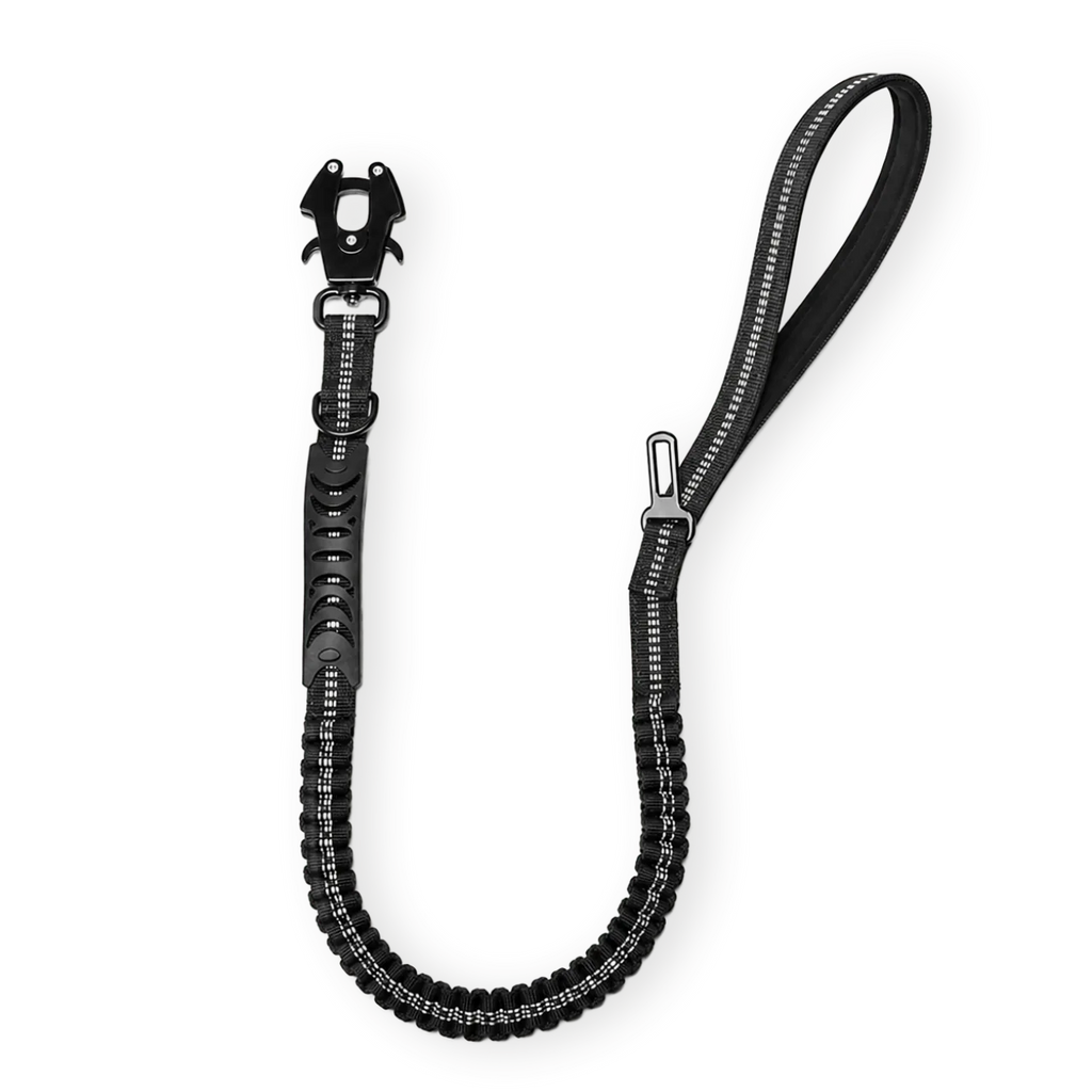 TrailFlex™ Bungee Leash