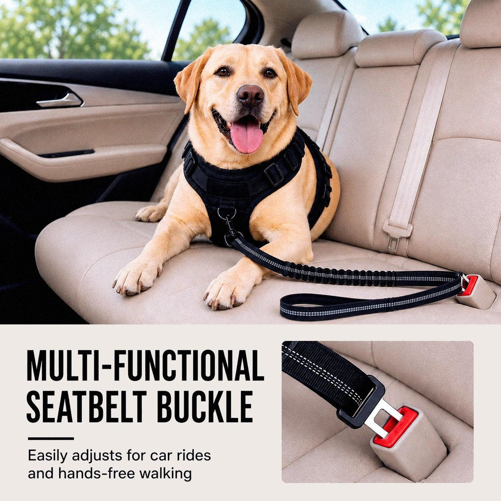 TrailFlex™ Bungee Leash