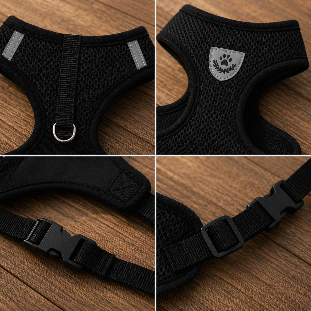 Close-up of breathable mesh cat harness with adjustable straps