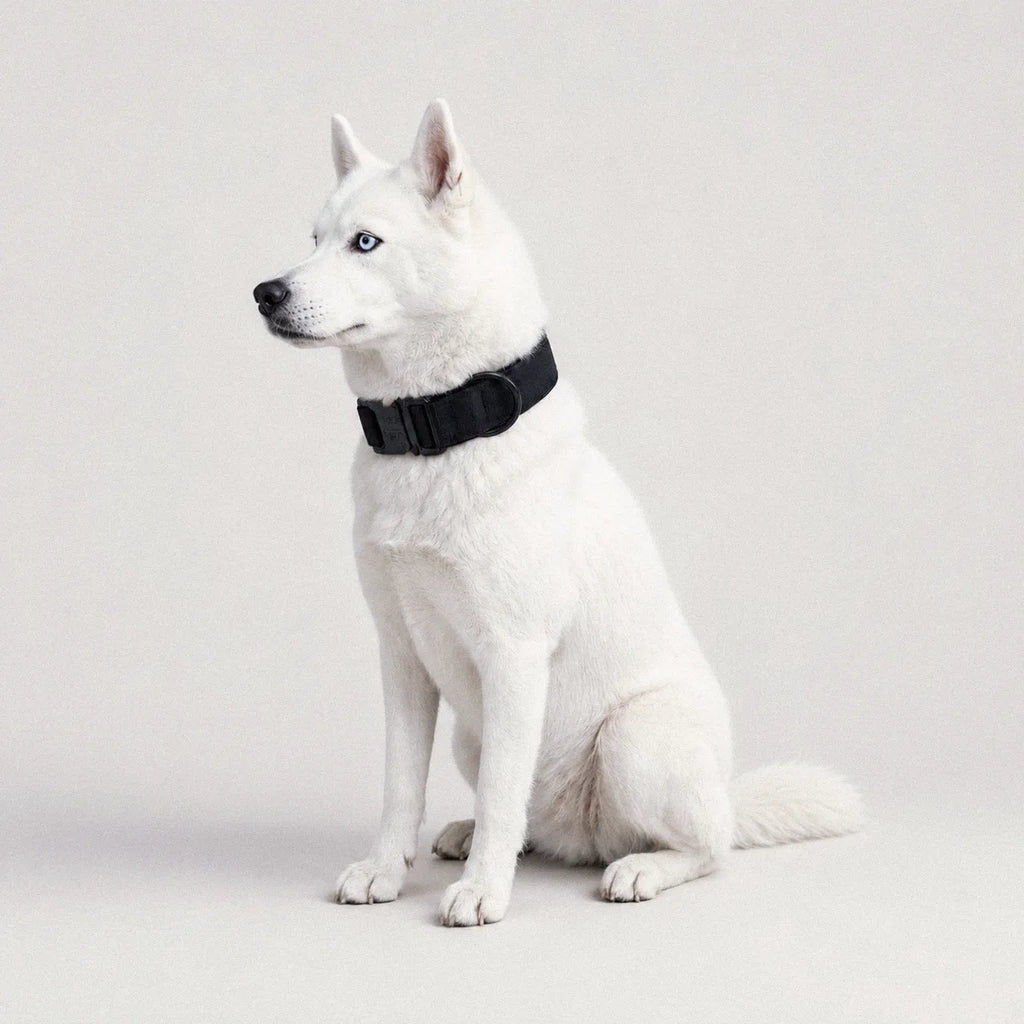 LockPoint™ Collar