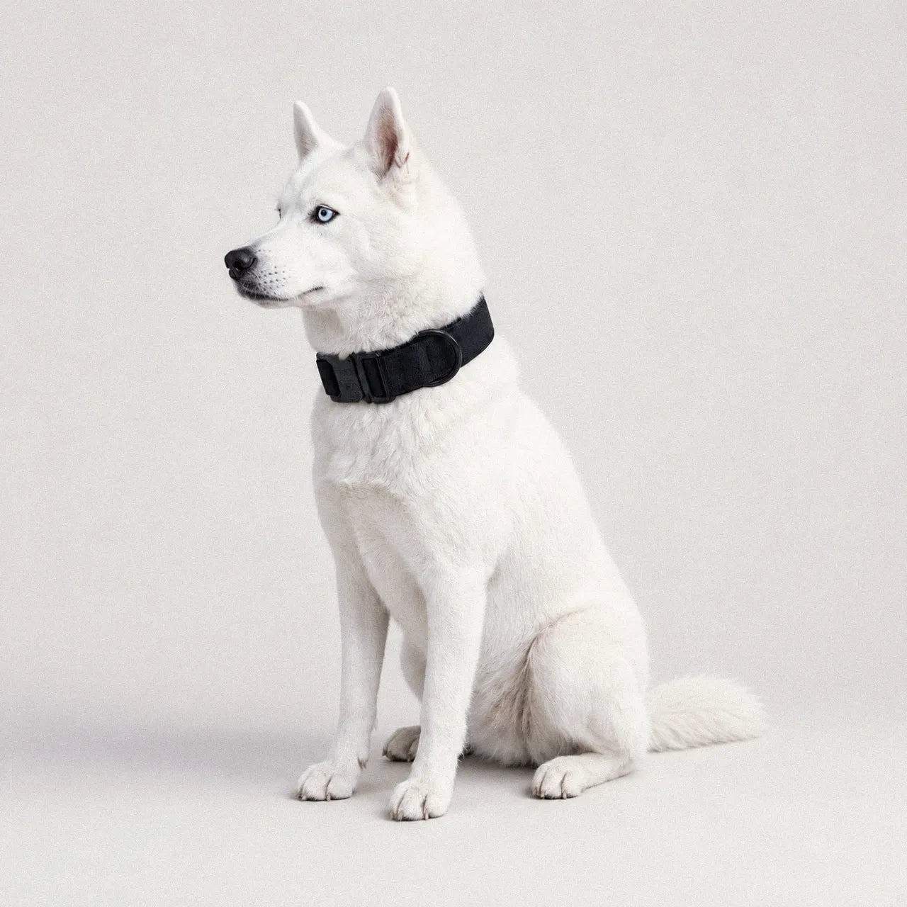LockPoint™ Collar