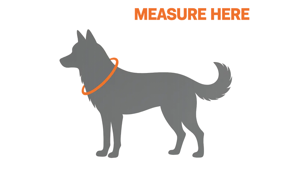 Measure here