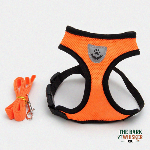 Orange dog harness with black trim and a leash on a white background, branded 'The Bark & Whisker Co'.