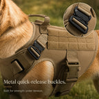Dog wearing tactical harness with reinforced handle and secure fit