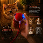 Pounce™ Self-Rolling Ball
