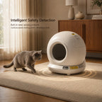 FreshGuard automatic cat and dog feeder in modern home environment