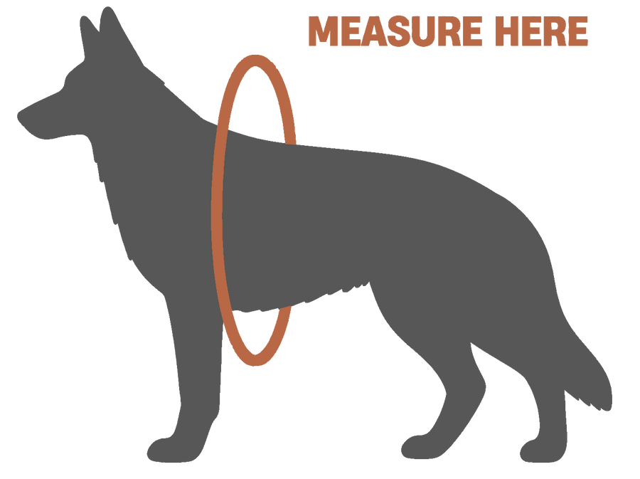 Measure here