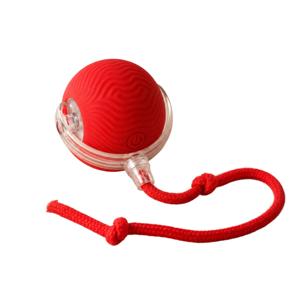 Red Cat Toy Ball with a rope on a transparent background